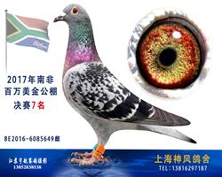 2017南非百万美金公棚决赛7名