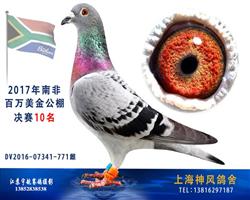 南非百万美金公棚决赛10名