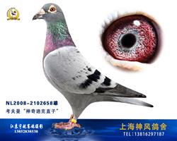 拍卖神奇迪克直子