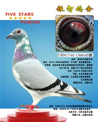 杨·欧瓦克，多重回血仅供欣赏