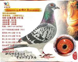 骠马7861