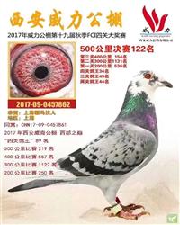 骠马7862