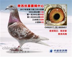 陕西扶眉赛鸽中心决赛11位