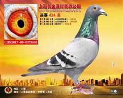 2017上海黄金海岸决赛424名（已售）