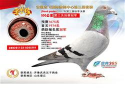 宏飞公棚冠军----大满贯