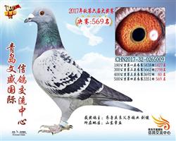 青岛文胜400公里80位