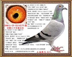 骠马4579