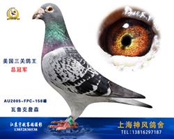 老瓦鲁克