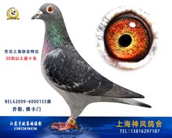 黄金配对最佳直女