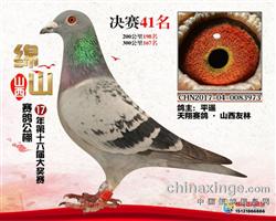 绵山公棚41名
