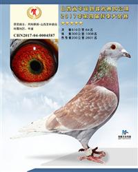 超级种雄德拉帕“红雾”直孙