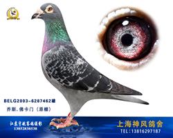 潘特先生