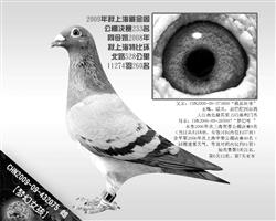 【夢幻女孩】已病亡！