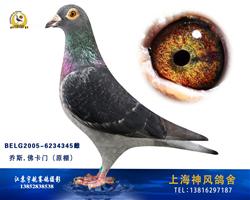 佛卡门潘特小姐