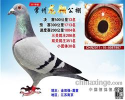 17年秋龙翔公棚13名