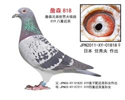 【詹森019】日本/任秀夫原舍