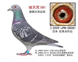 【日本/任秀夫原舍】奥佩尔血系