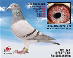 东莞鸿福俱乐部秋季 400公里4名