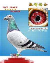 桑杰士“未来力量”