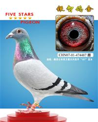 桑杰士“未来力量”，只供欣赏，不出售