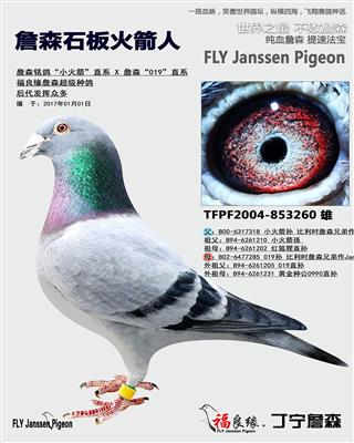 詹森石板火箭人