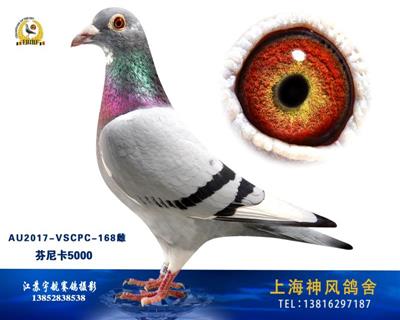 黄金雄之女