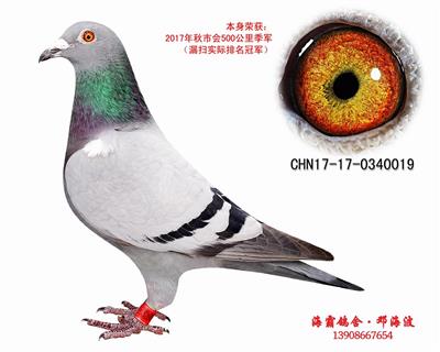 17年冠军（己售贵州）