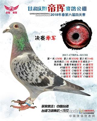 2018年甘肃帝晖公棚 决赛 季军