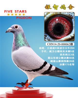 “神奇牛仔”直女，仅供欣赏