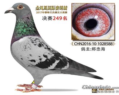 克拉克詹森
