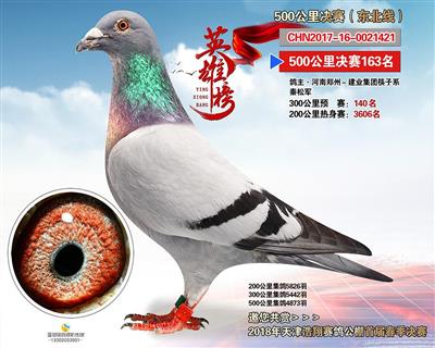 天津浩翔公棚决赛163名