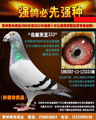 鸟巢公棚冠军“鸟巢天王”