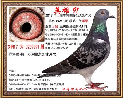 英雄91