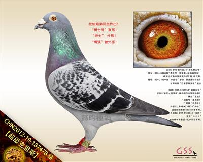 【超级克里斯】“勇士”、“绅士” 孫代！