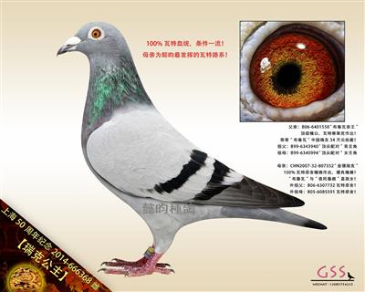 【瑞克公主】瓦特“顶尖配对”孫女！