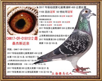 骠马1512