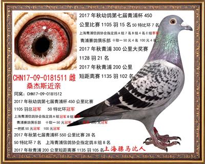骠马1511