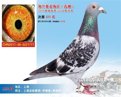 2018黄金海岸春棚511名