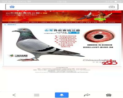 2018年舜航公棚决赛200名
