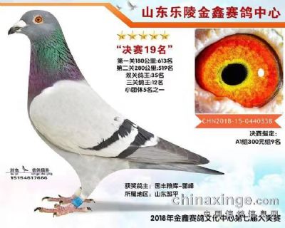 2018年金鑫公棚决赛19名