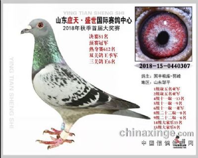 2018年山东应天盛世公棚预赛冠军决赛51名