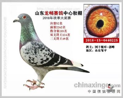 2018年山东龙畅公棚决赛52名