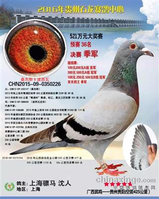 骠马0226