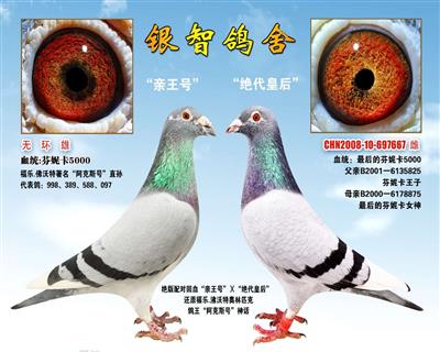 “亲王号”Ⅹ“绝代皇后”