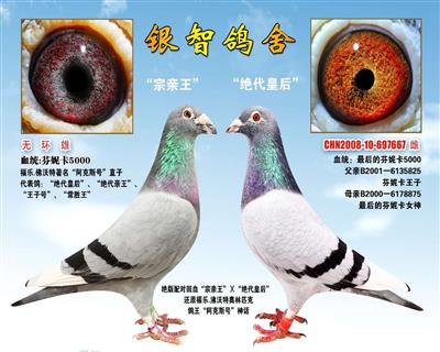 “宗亲王”配外孙女“绝代皇后”