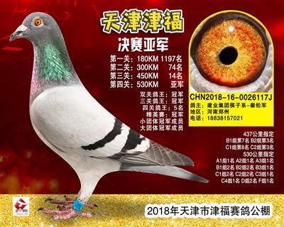 天津津福公棚决赛亚军