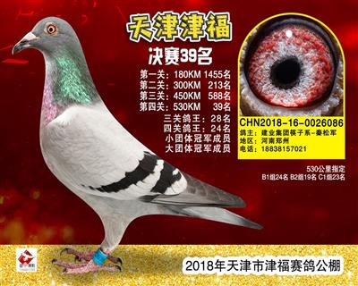 天津津福公棚决赛39名