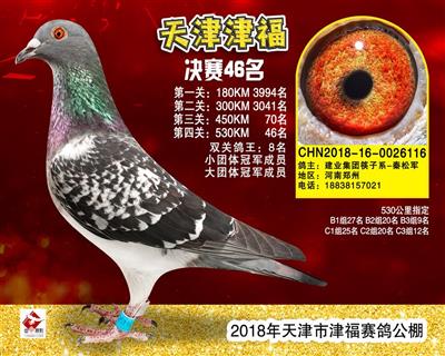 天津津福公棚决赛46名