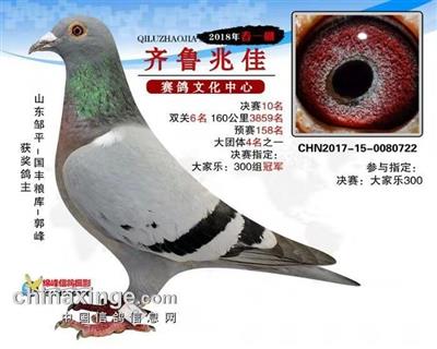 2018年齐鲁兆佳春一决赛10名