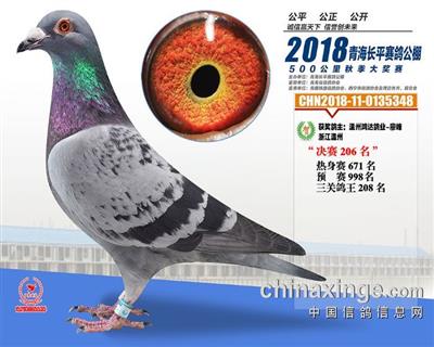 18年青海长平公棚206位